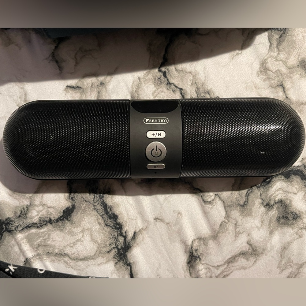 Speaker